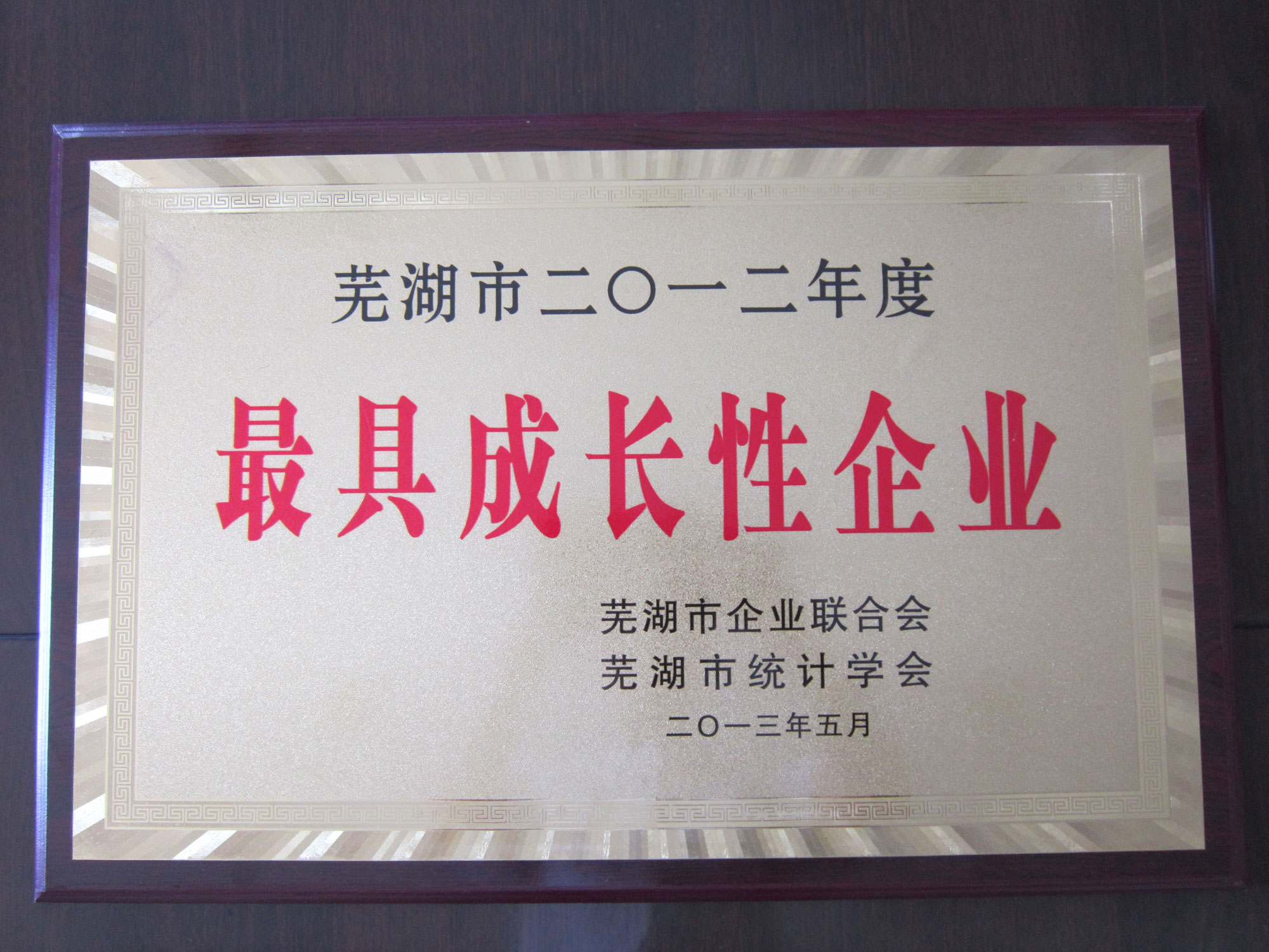 蕪湖市最具成長性企業